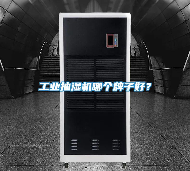工業(yè)抽濕機(jī)哪個(gè)牌子好？