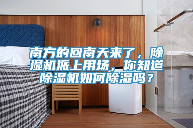 南方的回南天來了，除濕機(jī)派上用場，你知道除濕機(jī)如何除濕嗎？