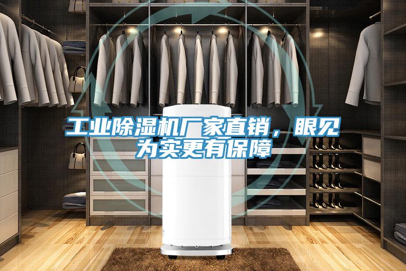 工業(yè)除濕機廠家直銷，眼見為實更有保障