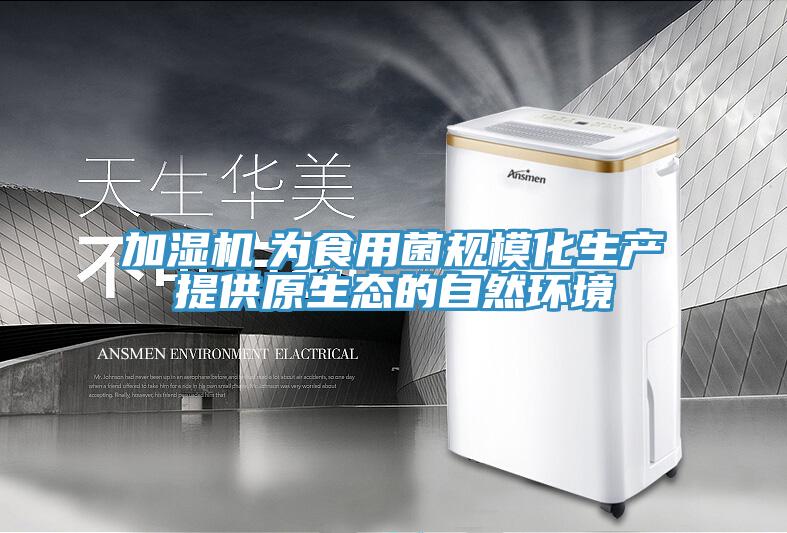 加濕機(jī)　為食用菌規(guī)?；a(chǎn)提供原生態(tài)的自然環(huán)境
