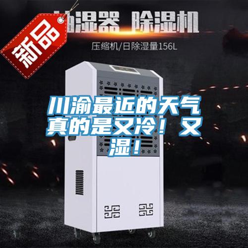 川渝最近的天氣真的是又冷！又濕！