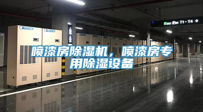 噴漆房除濕機(jī)，噴漆房專用除濕設(shè)備