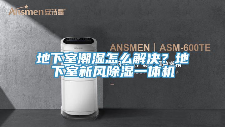 地下室潮濕怎么解決？地下室新風(fēng)除濕一體機(jī)