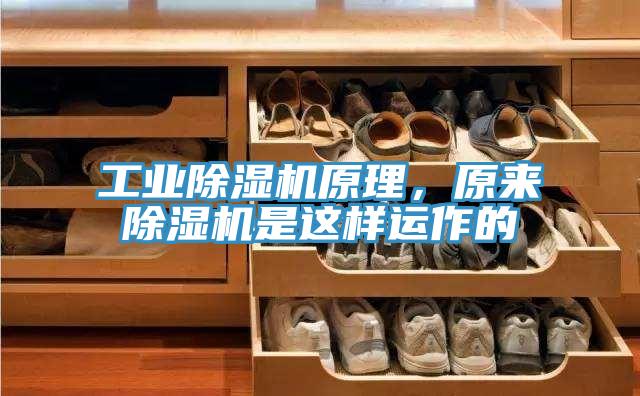 工業(yè)除濕機原理，原來除濕機是這樣運作的