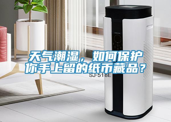 天氣潮濕，如何保護(hù)你手上留的紙幣藏品？