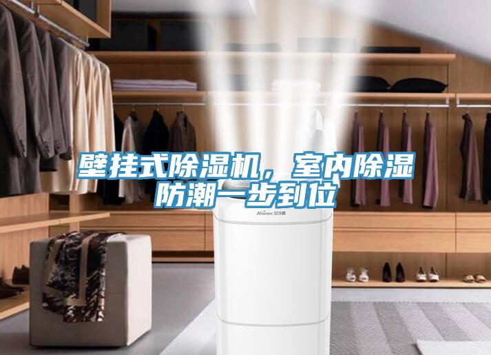 壁掛式除濕機(jī)，室內(nèi)除濕防潮一步到位