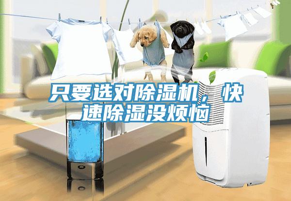 只要選對除濕機，快速除濕沒煩惱