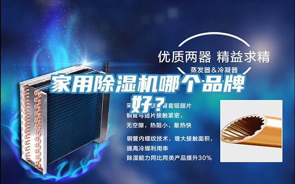 家用除濕機(jī)哪個(gè)品牌好？