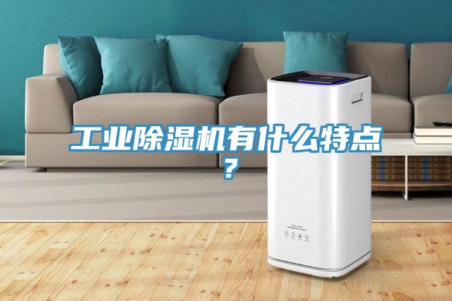 工業(yè)除濕機(jī)有什么特點(diǎn)？