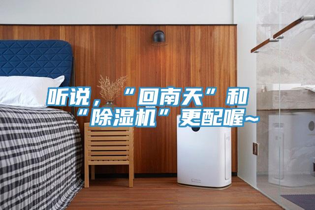 聽說，“回南天”和“除濕機”更配喔~
