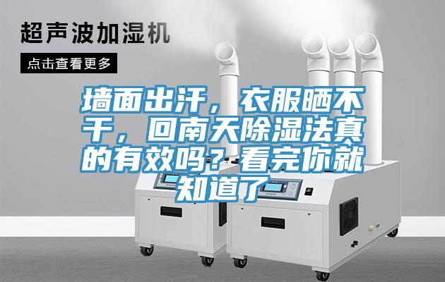 墻面出汗，衣服曬不干，回南天除濕法真的有效嗎？看完你就知道了