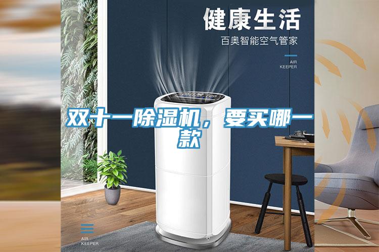 雙十一除濕機，要買哪一款