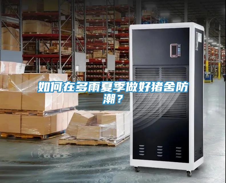 如何在多雨夏季做好豬舍防潮？