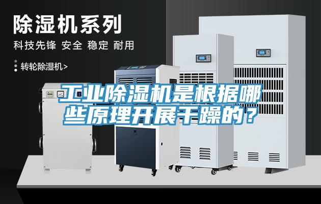 工業(yè)除濕機(jī)是根據(jù)哪些原理開展干躁的？