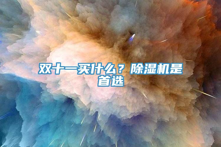 雙十一買什么？除濕機是首選