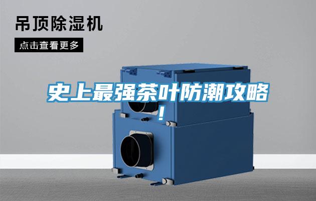 史上最強(qiáng)茶葉防潮攻略！