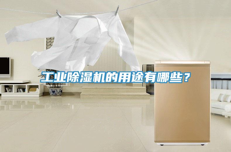 工業(yè)除濕機(jī)的用途有哪些？