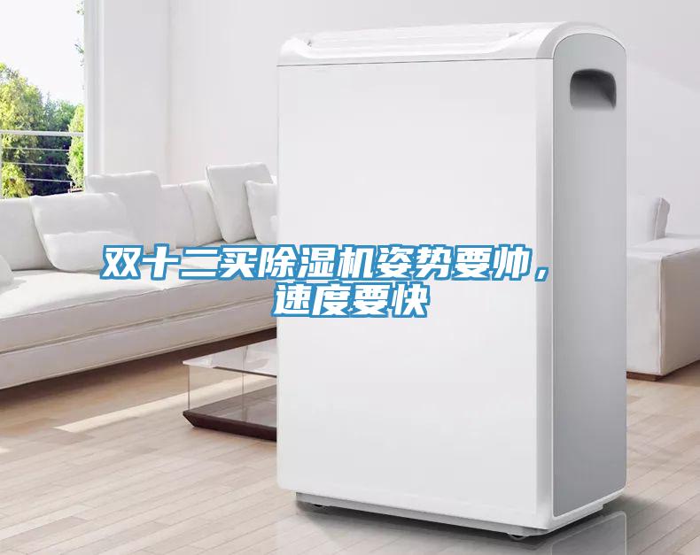 雙十二買除濕機姿勢要帥， 速度要快