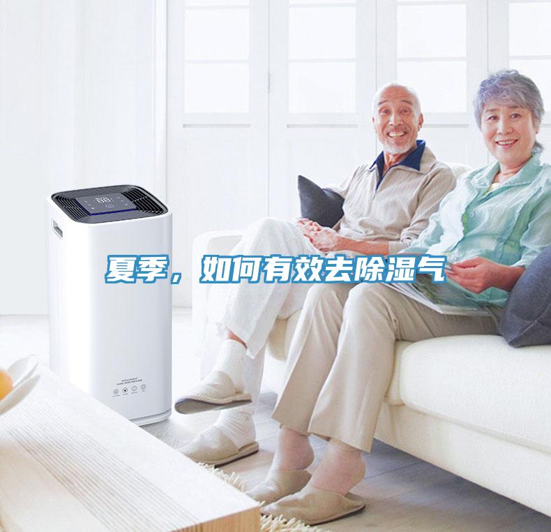 夏季，如何有效去除濕氣