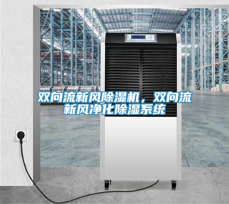 雙向流新風除濕機，雙向流新風凈化除濕系統(tǒng)