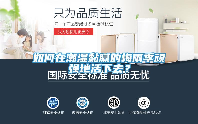 如何在潮濕黏膩的梅雨季頑強(qiáng)地活下去？