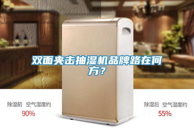 雙面夾擊抽濕機品牌路在何方？