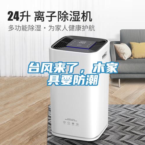 臺風(fēng)來了，木家具要防潮