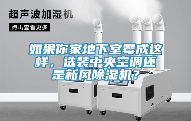 如果你家地下室霉成這樣，選裝中央空調(diào)還是新風除濕機？