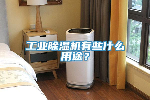 工業(yè)除濕機(jī)有些什么用途？