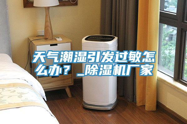 天氣潮濕引發(fā)過敏怎么辦？_除濕機(jī)廠家
