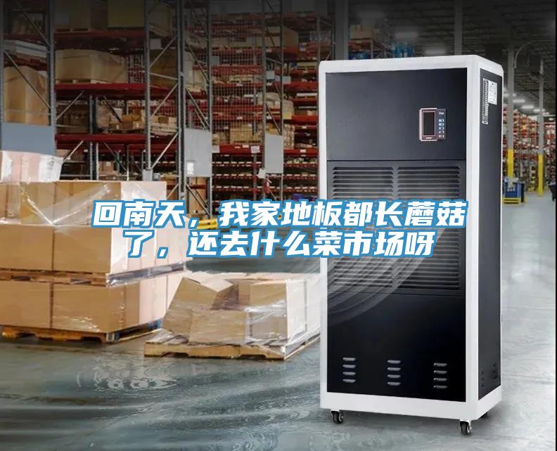 回南天，我家地板都長(zhǎng)蘑菇了，還去什么菜市場(chǎng)呀