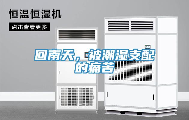 回南天，被潮濕支配的痛苦