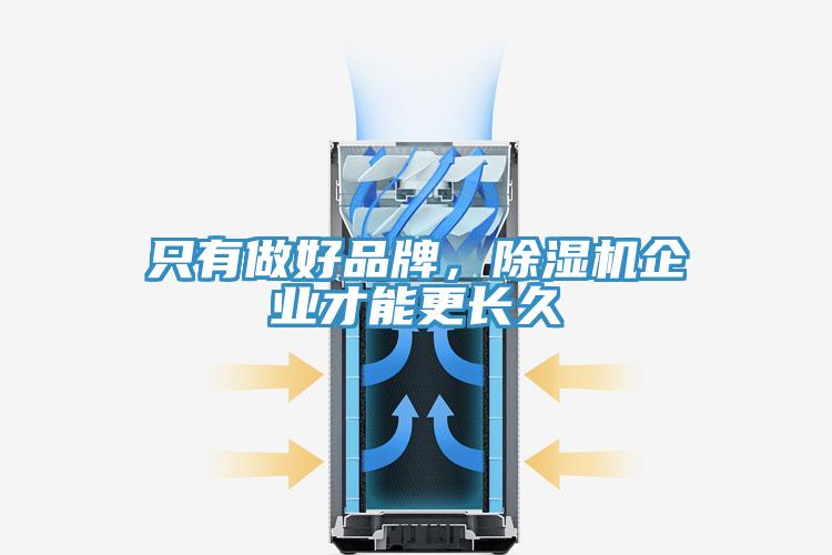 只有做好品牌，除濕機企業(yè)才能更長久