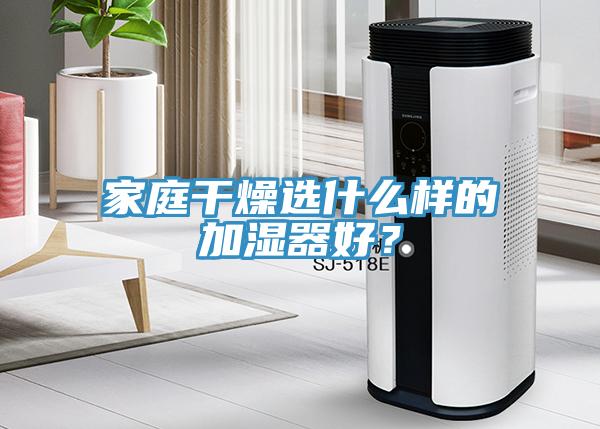 家庭干燥選什么樣的加濕器好？