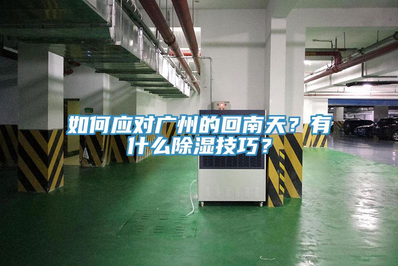 如何應(yīng)對(duì)廣州的回南天？有什么除濕技巧？