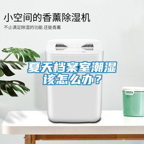 夏天檔案室潮濕該怎么辦？