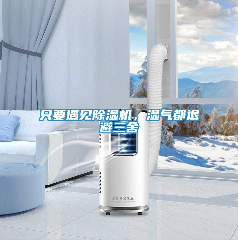 只要遇見除濕機，濕氣都退避三舍