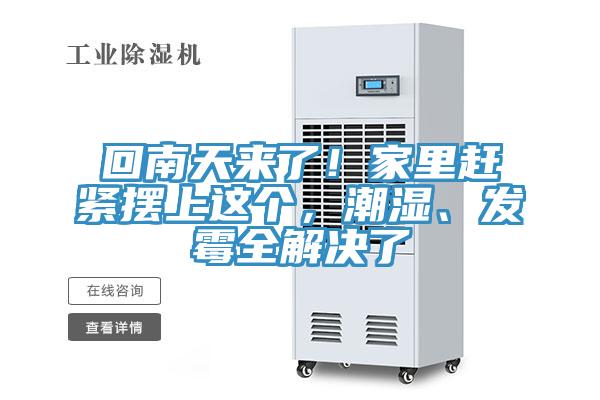 回南天來了！家里趕緊擺上這個，潮濕、發(fā)霉全解決了