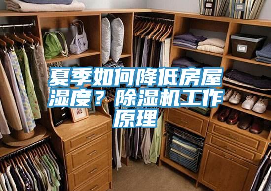 夏季如何降低房屋濕度？除濕機工作原理