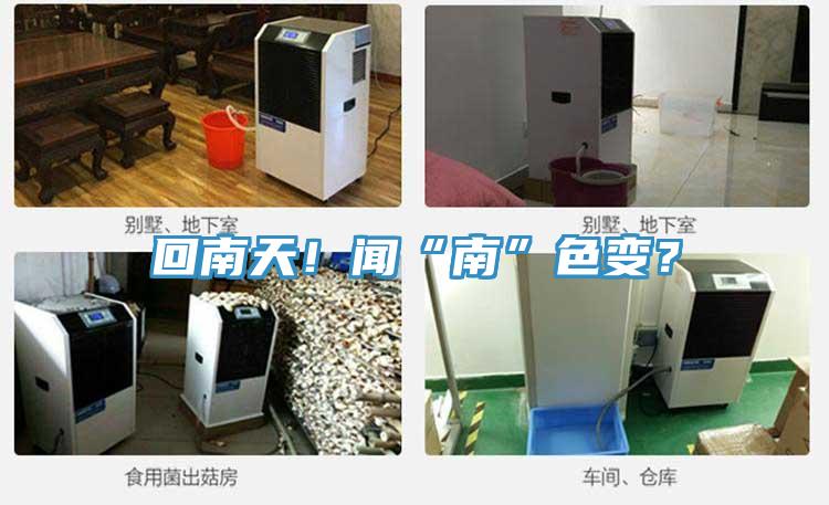 回南天！聞“南”色變？