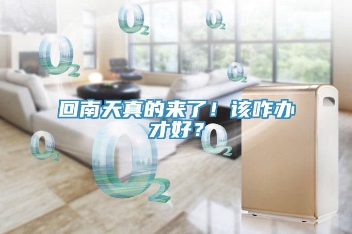 回南天真的來了！該咋辦才好？