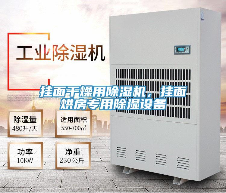 掛面干燥用除濕機(jī)，掛面烘房專用除濕設(shè)備