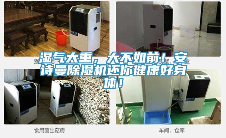 濕氣太重，大不如前！安詩曼除濕機(jī)還你健康好身體！