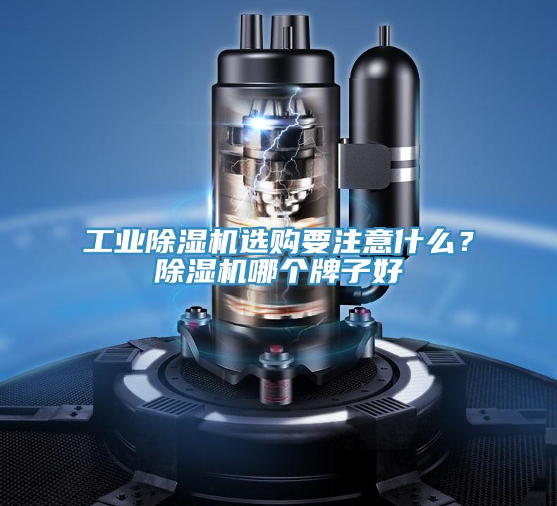 工業(yè)除濕機(jī)選購要注意什么？除濕機(jī)哪個牌子好