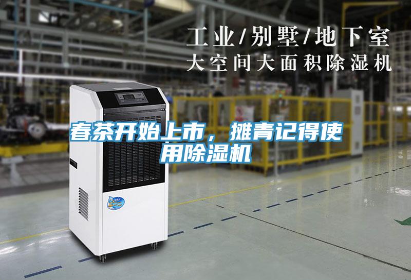 春茶開始上市，攤青記得使用除濕機
