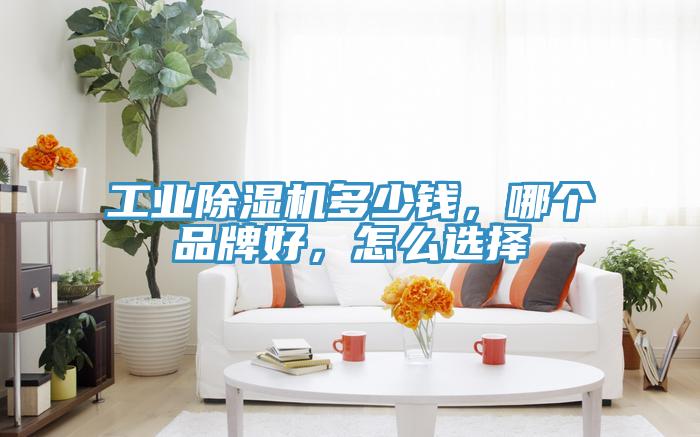 工業(yè)除濕機(jī)多少錢，哪個(gè)品牌好，怎么選擇