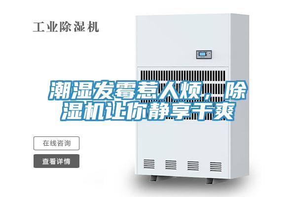 潮濕發(fā)霉惹人煩，除濕機(jī)讓你靜享干爽