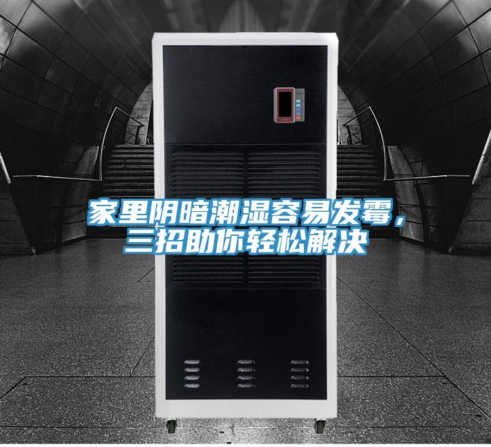 家里陰暗潮濕容易發(fā)霉，三招助你輕松解決