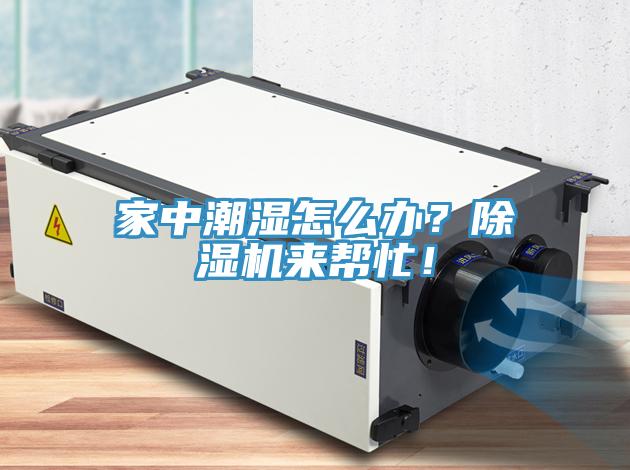 家中潮濕怎么辦？除濕機來幫忙！