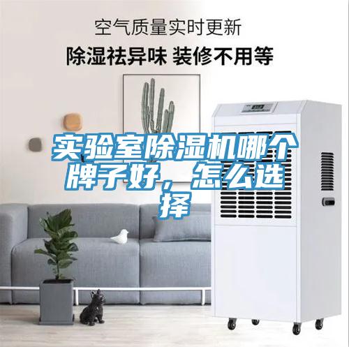 實驗室除濕機哪個牌子好，怎么選擇